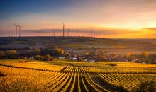 白羊座每日运势2012年1月16日