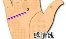 感情线预测你的婚姻