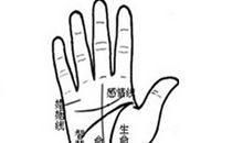 细说手相中最基本的四条线