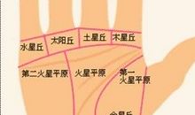 最旺偏财的七种手相