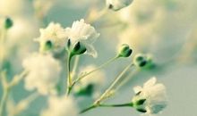 小乖麻根登卓玛2013年11月双子座运势