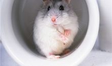 Eskey巨蟹座一周运势（7.9-7.15）