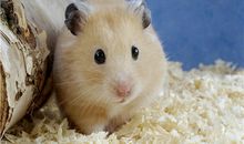 Eskey金牛座一周运势（7.9-7.15）