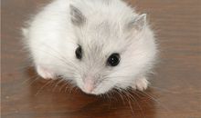 Eskey狮子座一周运势（7.9-7.15）