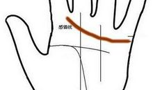 手相图解：感情线详解