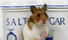 Eskey射手座一周运势（7.9-7.15）