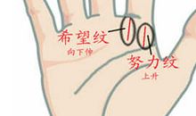 解析手上有希望线的好坏