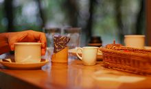 Julia Chen狮子座2017年10月运势