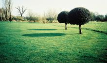 A微日记2017年4月白羊座运势