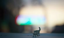 A微日记2017年4月摩羯座运势