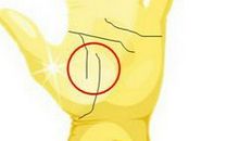 生命线有分叉代表什么