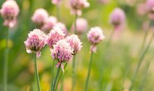 面相看12种不能嫁的男人