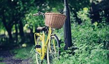 蒂姆一周天蝎座运势（9.16-9.22）