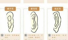 耳朵的大小看命好不好