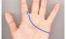 感情线很浅有什么说法