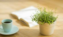 从面相分析你的桃花运势