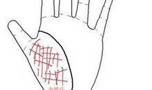 生命线短就会短命吗