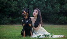 柒爸2018年8月金牛座运势