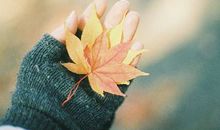 双子座今日运势2013年01月25日