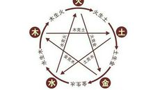 木命与什么命相克?