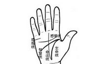 啥手相的人婚姻能天长地久