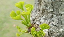 花心男人的八字都有哪些特征