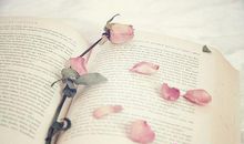 摩羯座今日运势2017年11月5日