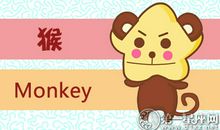 属猴怎么应对拒绝了却还缠着自己的异性