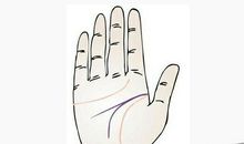 智慧线分叉代表什么