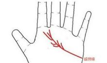 男人比较风流的手相