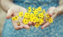 氧气占星2017年4月双鱼运势