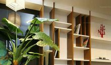 天天来好运的客厅风水布局