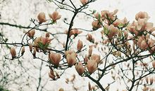 氧气占星2017年4月射手运势