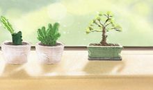 冬天上火吃什么水果好