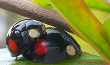 神叨酱塔牌测试4.26日运