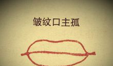 孤纹口面相详解