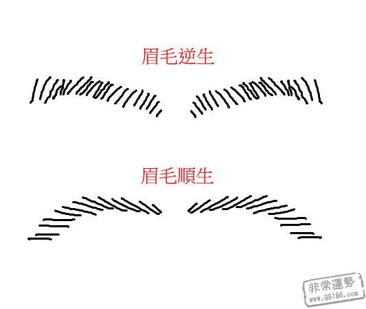 根据您的脸庞，您雇用贵族或小人1