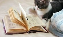 小乖麻根登卓玛2012年11月金牛座运势