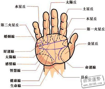 手相图形生命线揭示生命