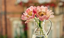 情人节如何催旺正桃花