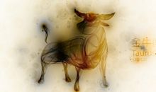 凰洛-枂2017年8月金牛座运势