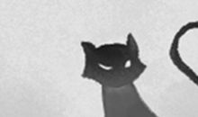 猫石对话之2016年七月运势