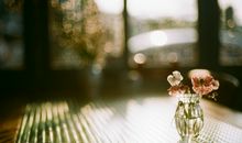 水蓝色眼泪2017年4月白羊座运势