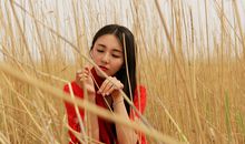 柒爸2018年8月处女座运势