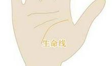 没有生命线代表什么