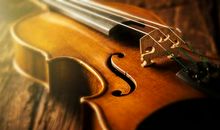 竹猫星球本周塔罗运势(2017.5.8-5.14)