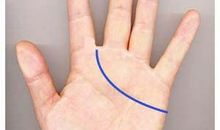 没有感情线的人好不好