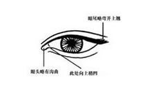 有桃花眼的人注定风骚