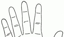 五大手相线看你的运势