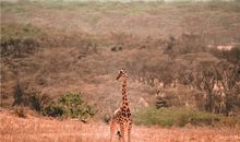 保加利亚嘉珊:今日运势2018年6月4日